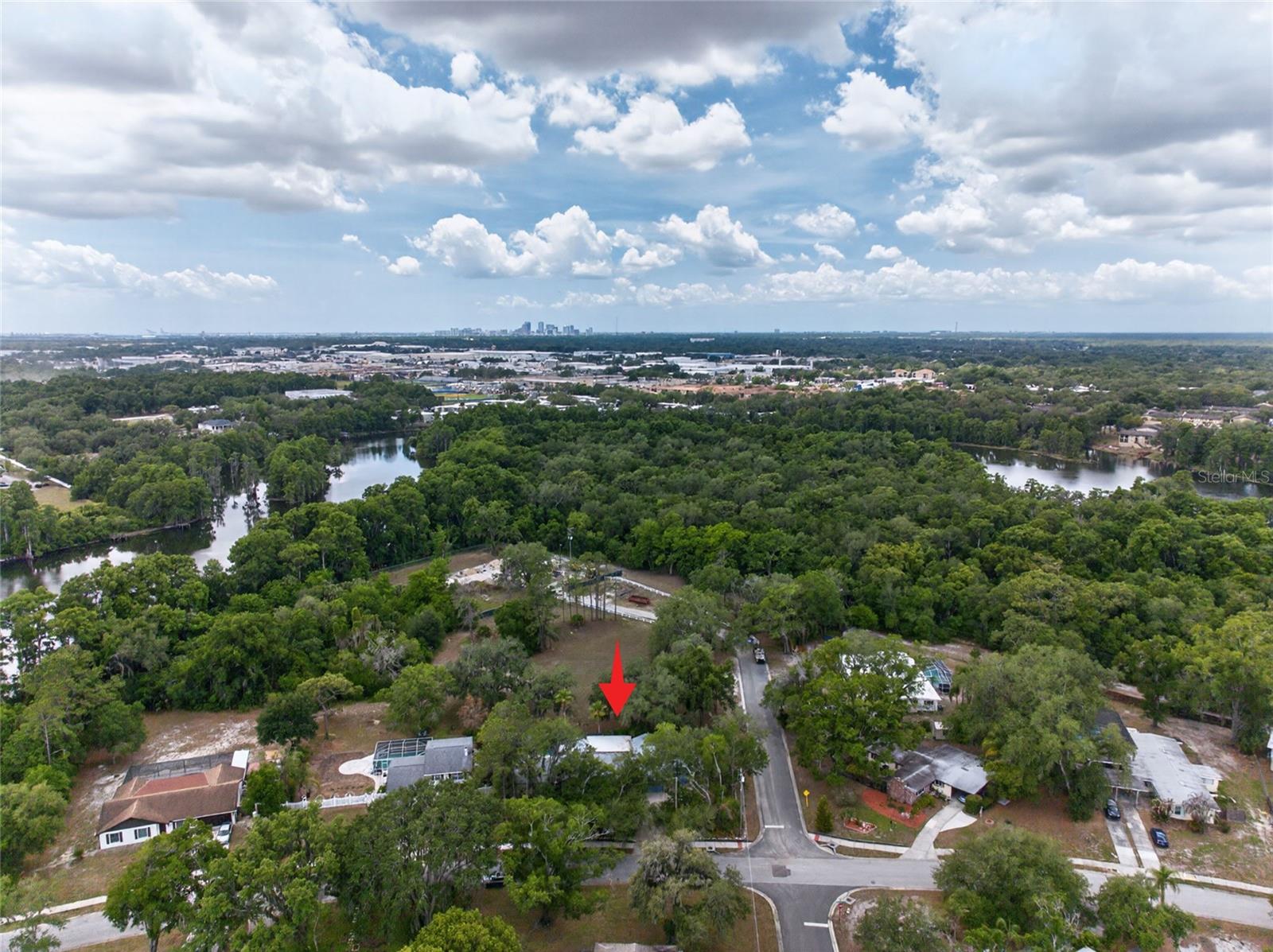 901 W RIVER DR, TEMPLE TERRACE, FL — photo 52