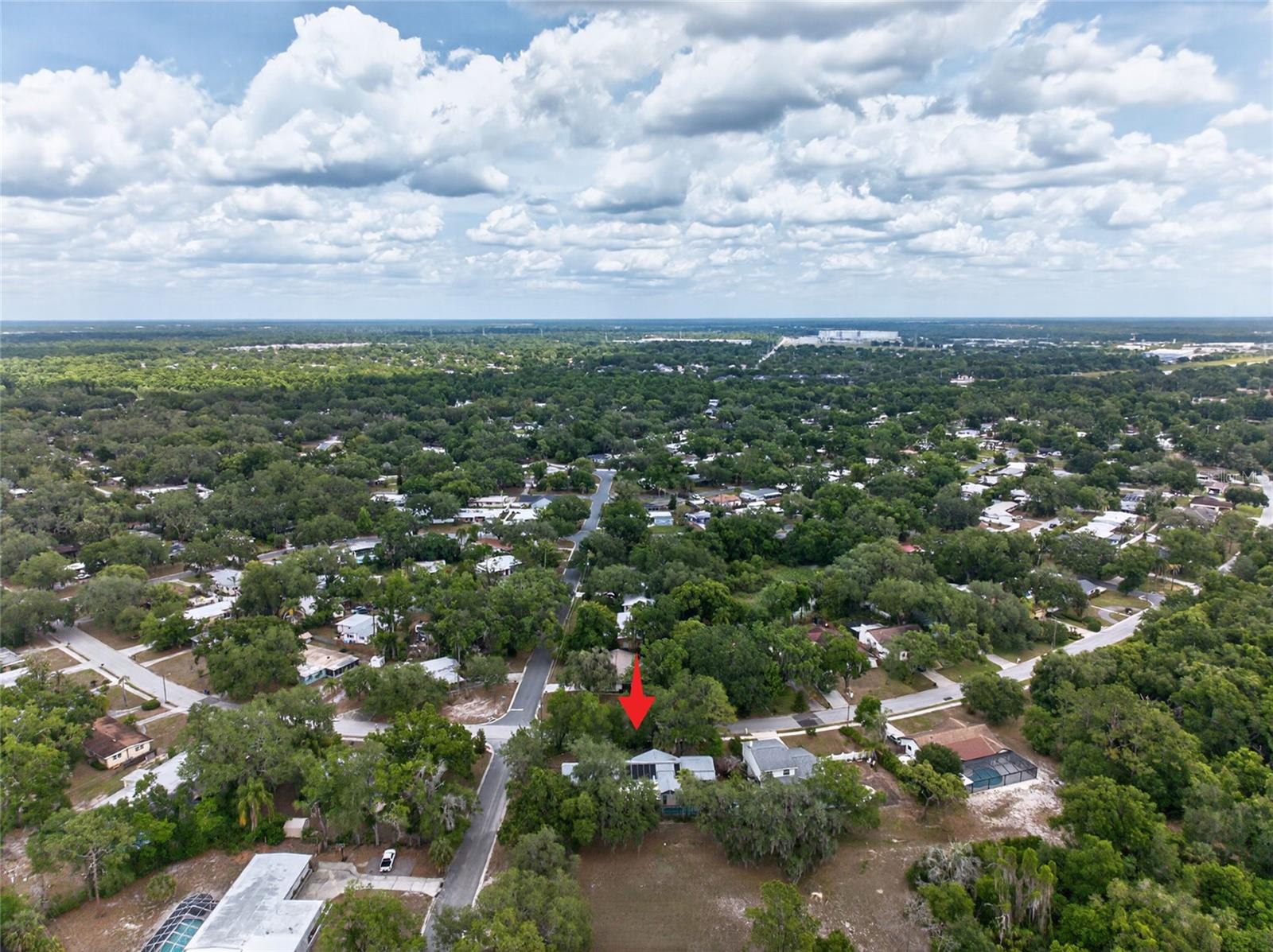 901 W RIVER DR, TEMPLE TERRACE, FL — photo 54