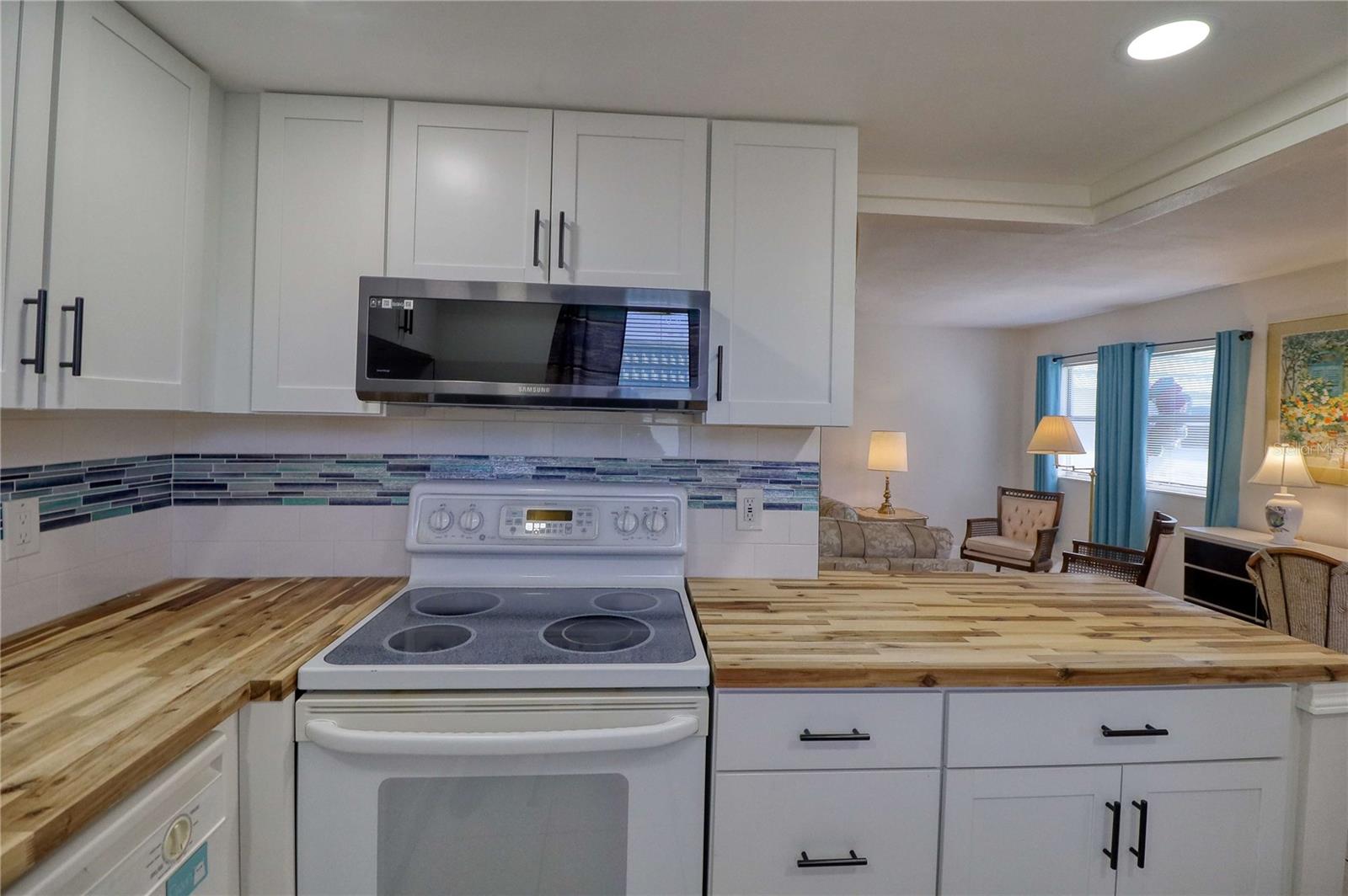 101 CAMBRIDGE TRL #196, SUN CITY CENTER, FL — photo 16