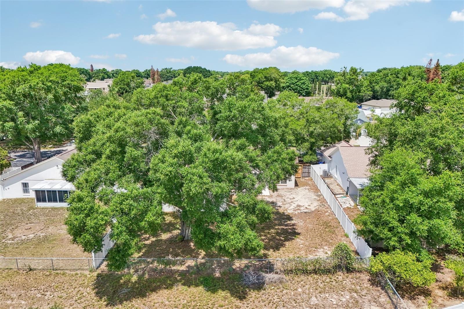 2596 ALCLOBE CIR, OCOEE, FL — photo 66
