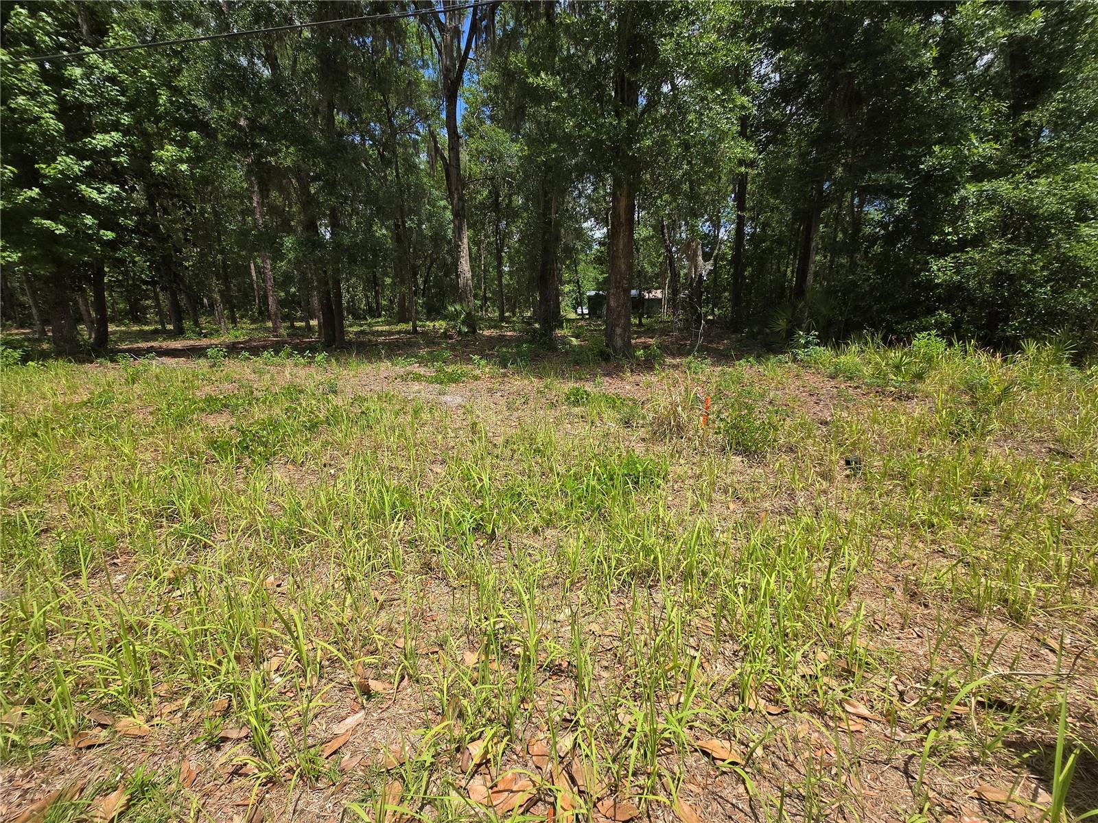 0 SW 15TH PL, OCALA, FL — photo 2