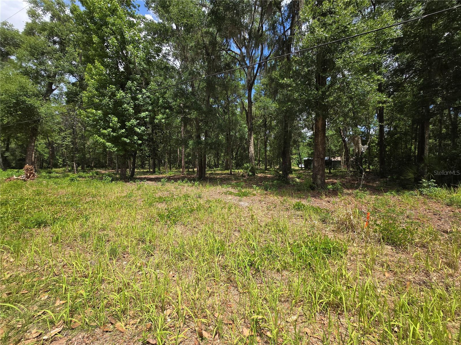 0 SW 15TH PL, OCALA, FL — photo 3