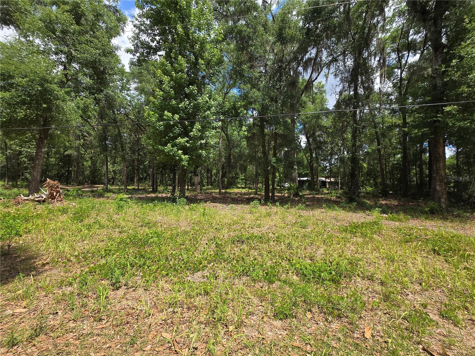 0 SW 15TH PL, OCALA, FL — photo 5