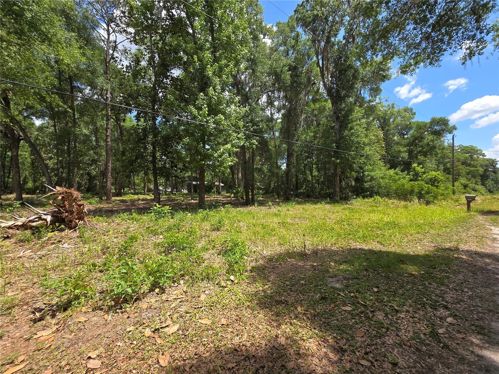 0 SW 15TH PL, OCALA, FL — photo 6