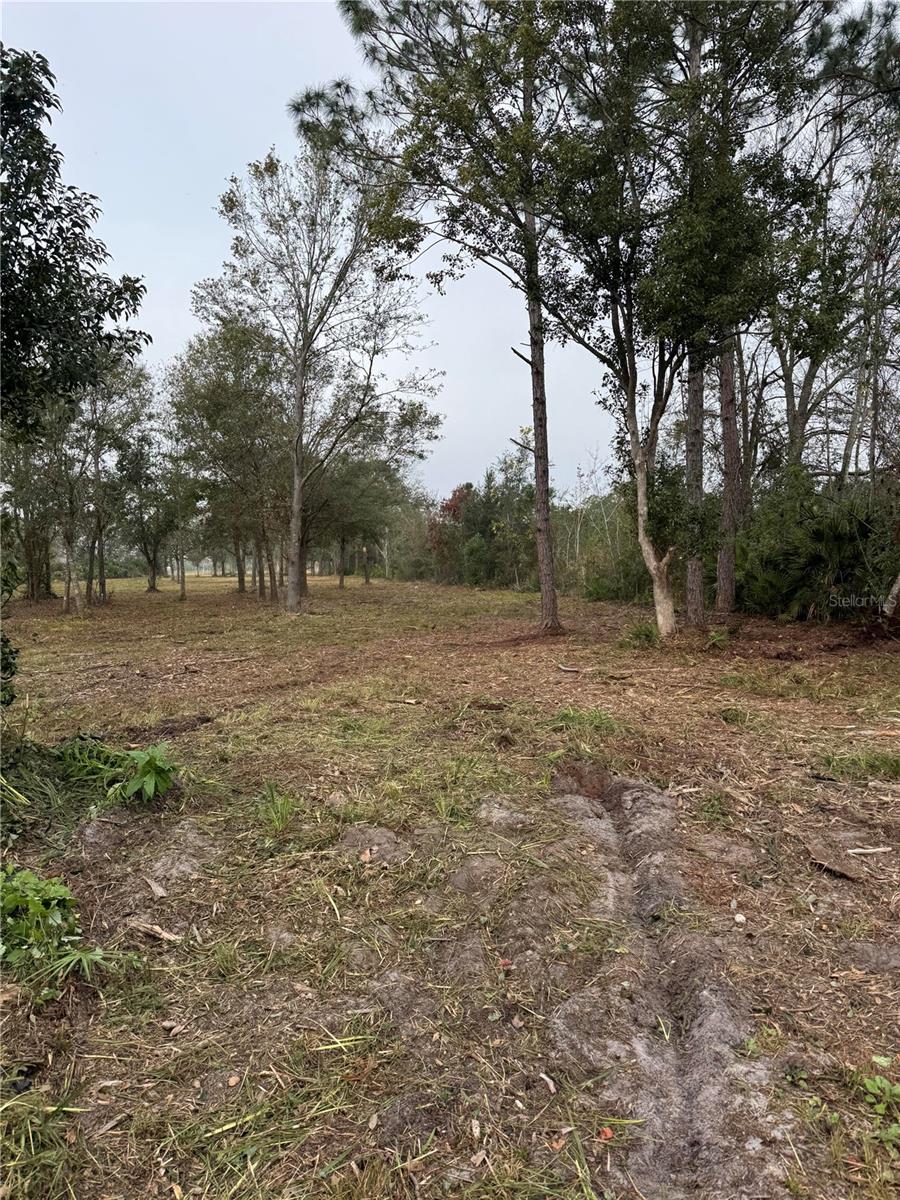 0 WEST FROSTPROOF RD, FROSTPROOF, FL — photo 3