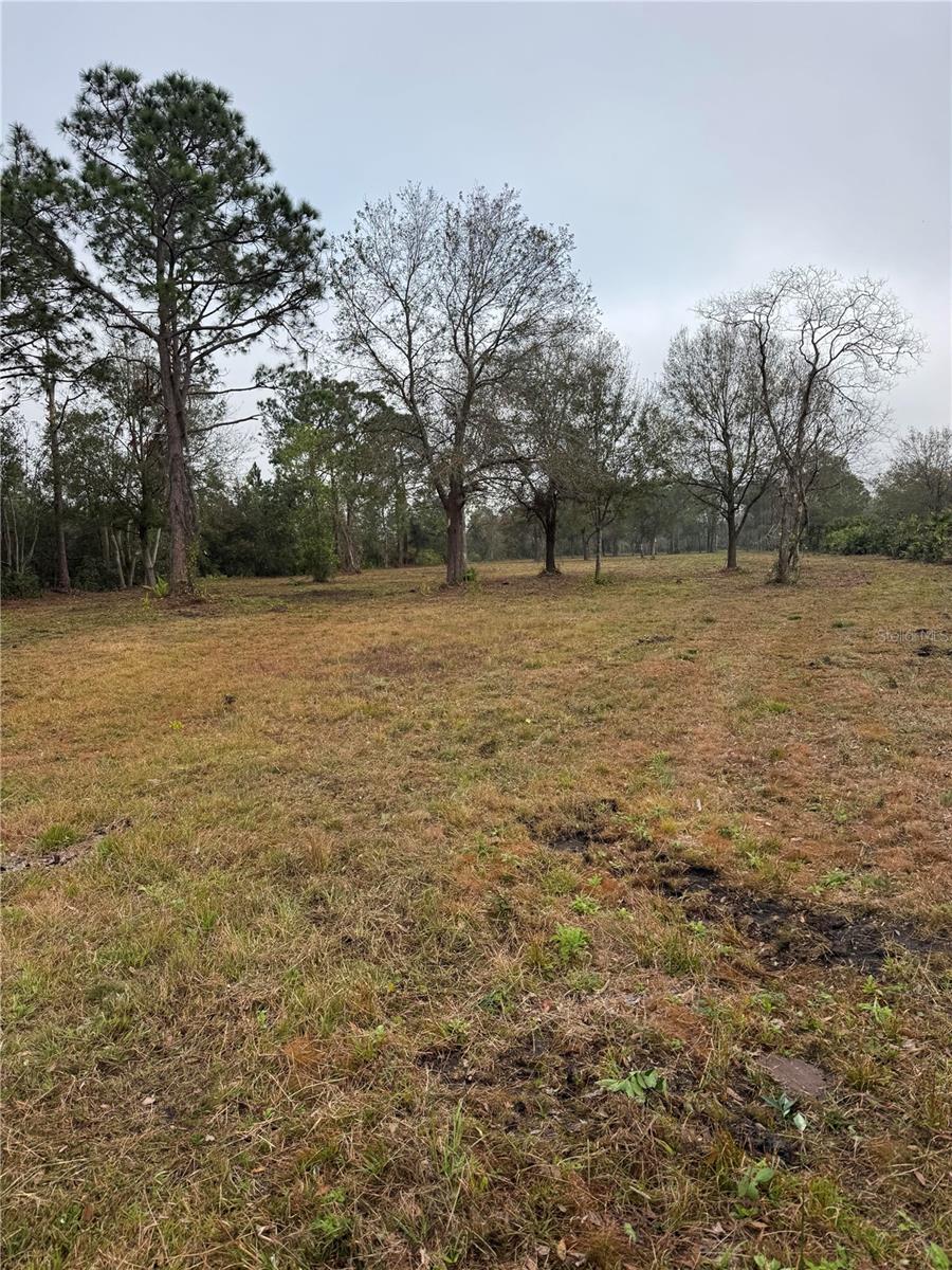 0 WEST FROSTPROOF RD, FROSTPROOF, FL — photo 5