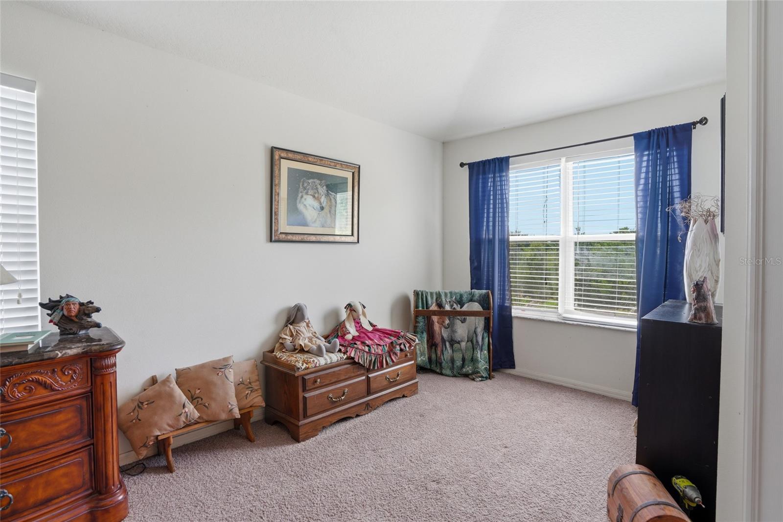 9643 ASBEL ESTATES ST, LAND O LAKES, FL — photo 25