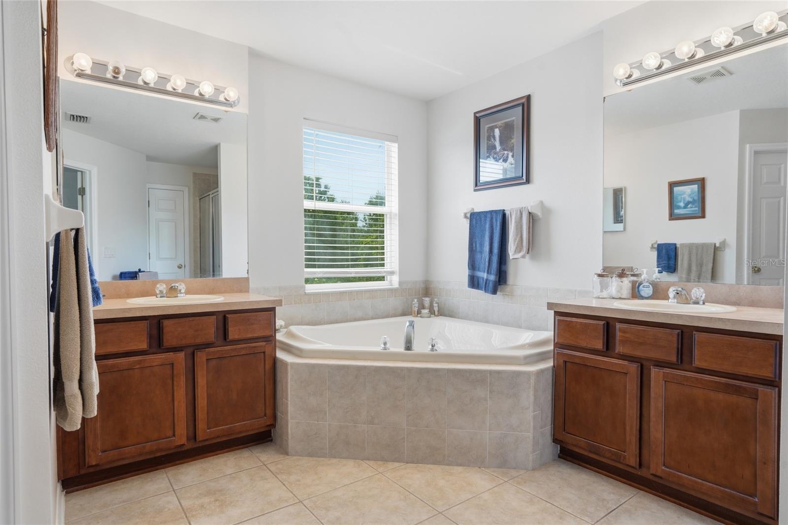 9643 ASBEL ESTATES ST, LAND O LAKES, FL — photo 26