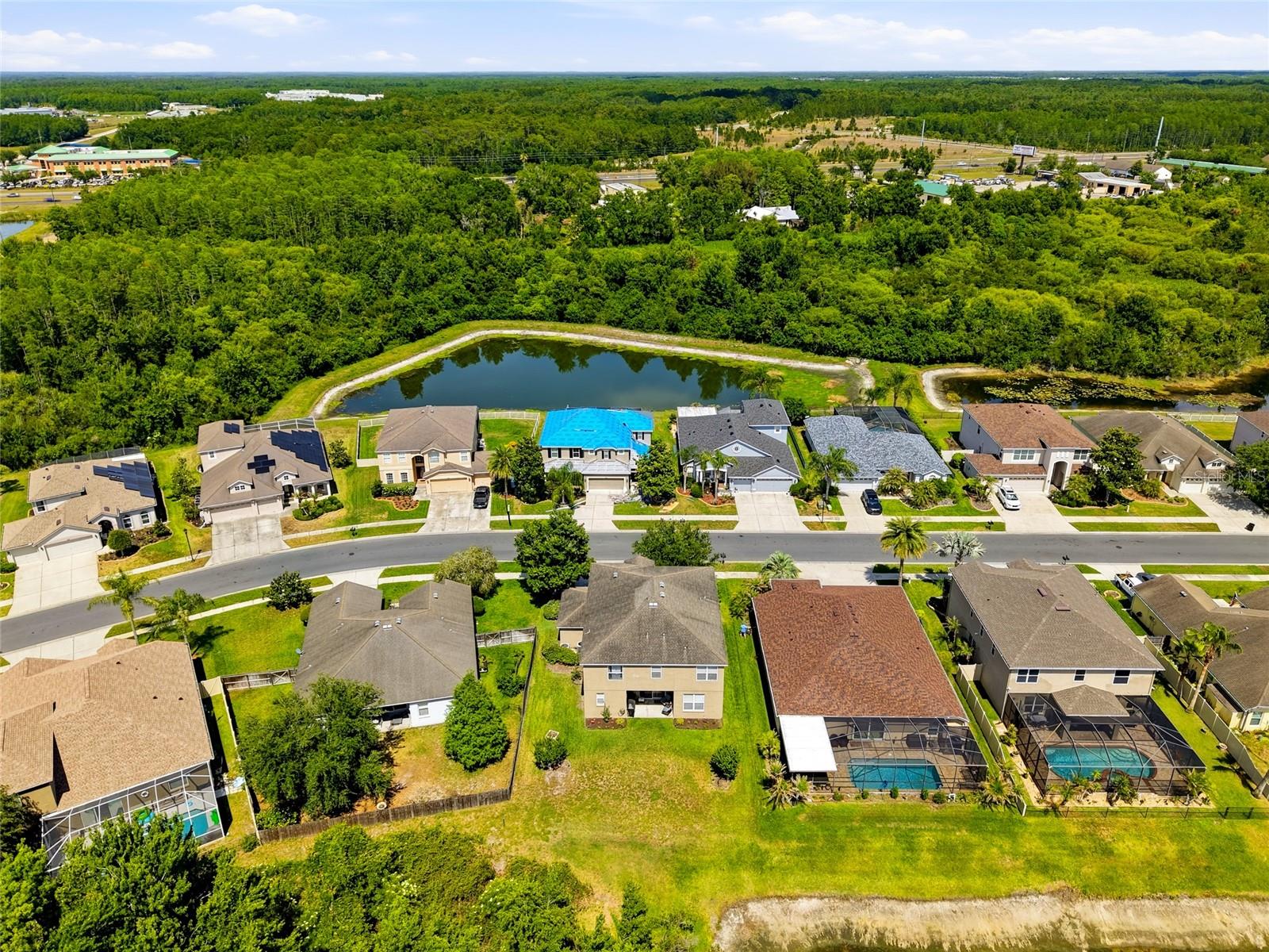 9643 ASBEL ESTATES ST, LAND O LAKES, FL — photo 36