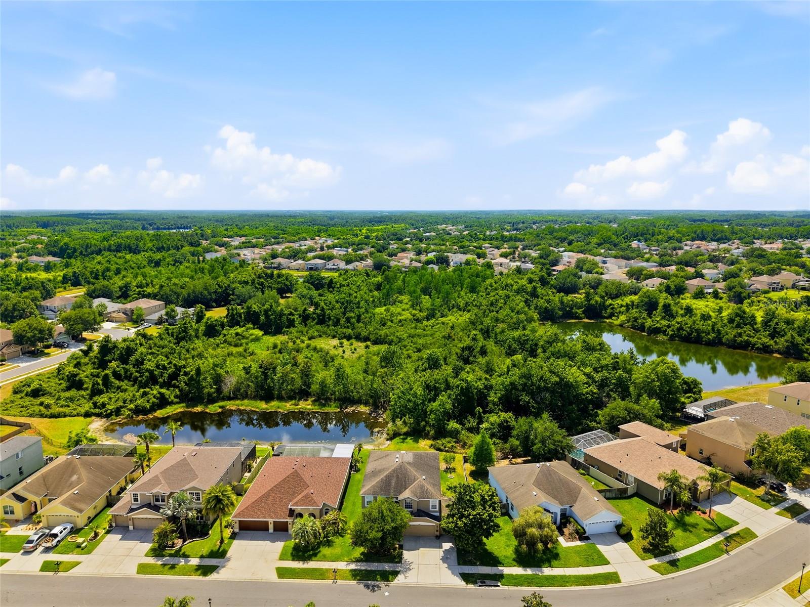 9643 ASBEL ESTATES ST, LAND O LAKES, FL — photo 38