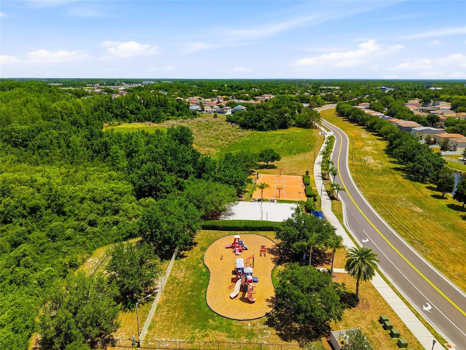 9643 ASBEL ESTATES ST, LAND O LAKES, FL — photo 41