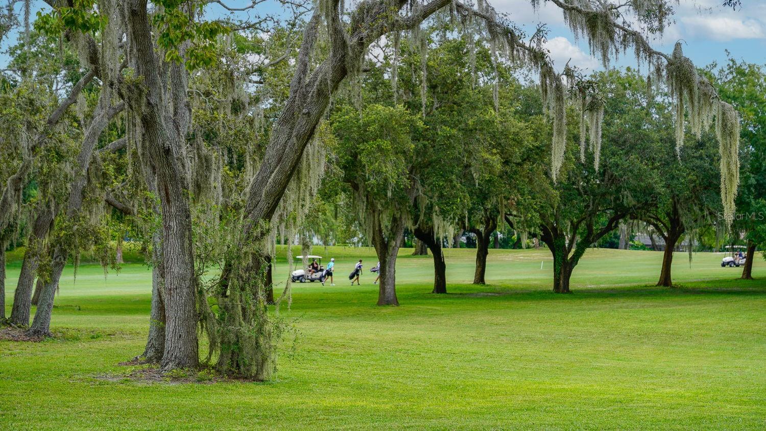 8141 GOLF CLUB CT, HUDSON, FL — photo 75