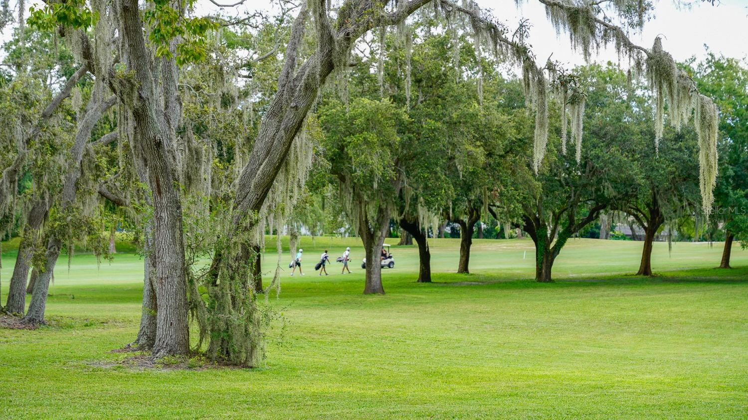 8141 GOLF CLUB CT, HUDSON, FL — photo 78