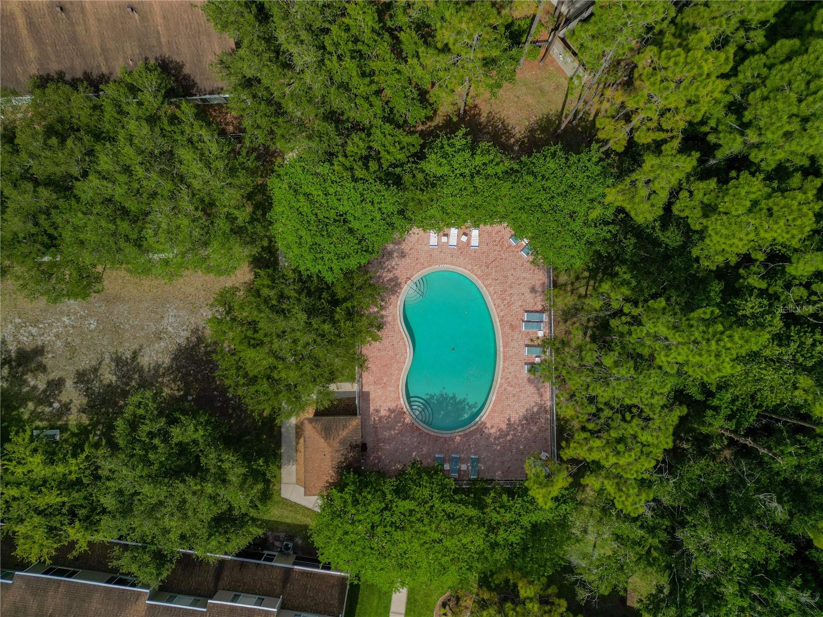 8671 HUNTERS KEY CIR #8671, TAMPA, FL — photo 25