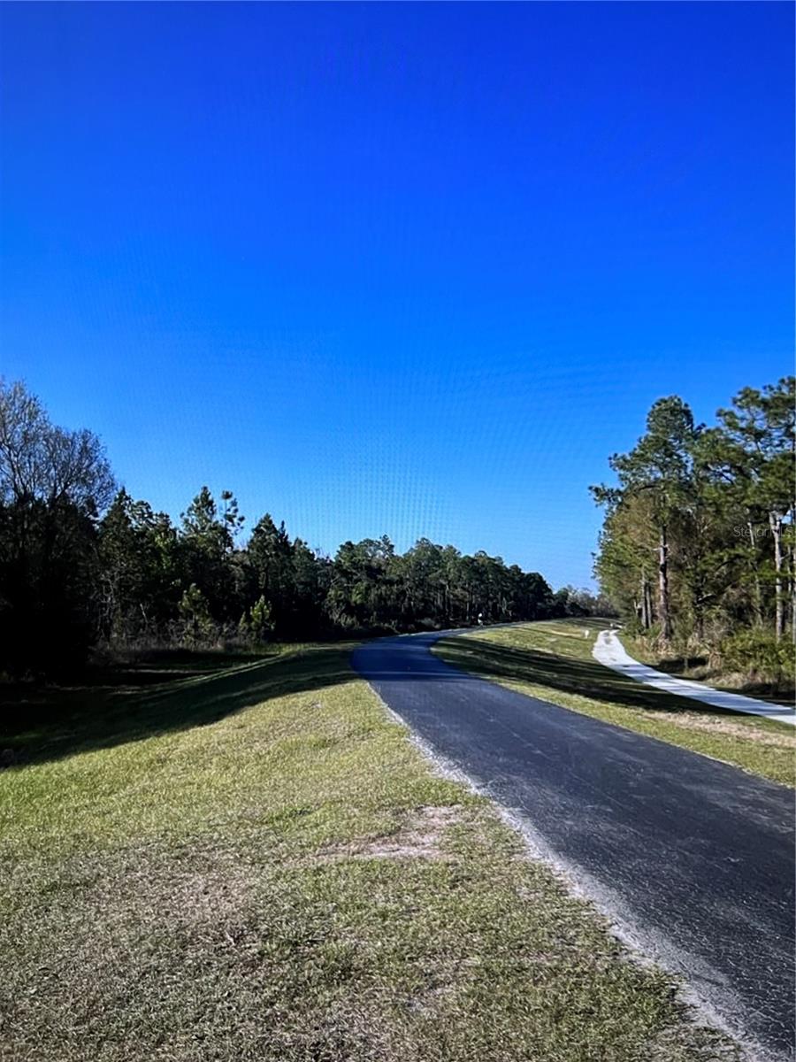 8671 HUNTERS KEY CIR #8671, TAMPA, FL — photo 29