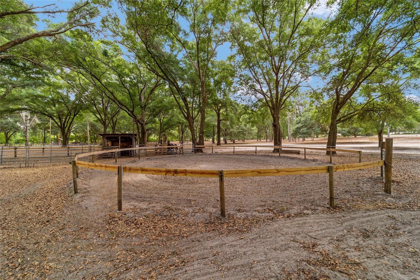 19551 SE 42ND PL, MORRISTON, FL — photo 48