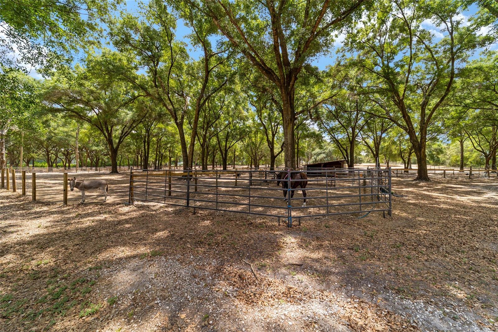 19551 SE 42ND PL, MORRISTON, FL — photo 51