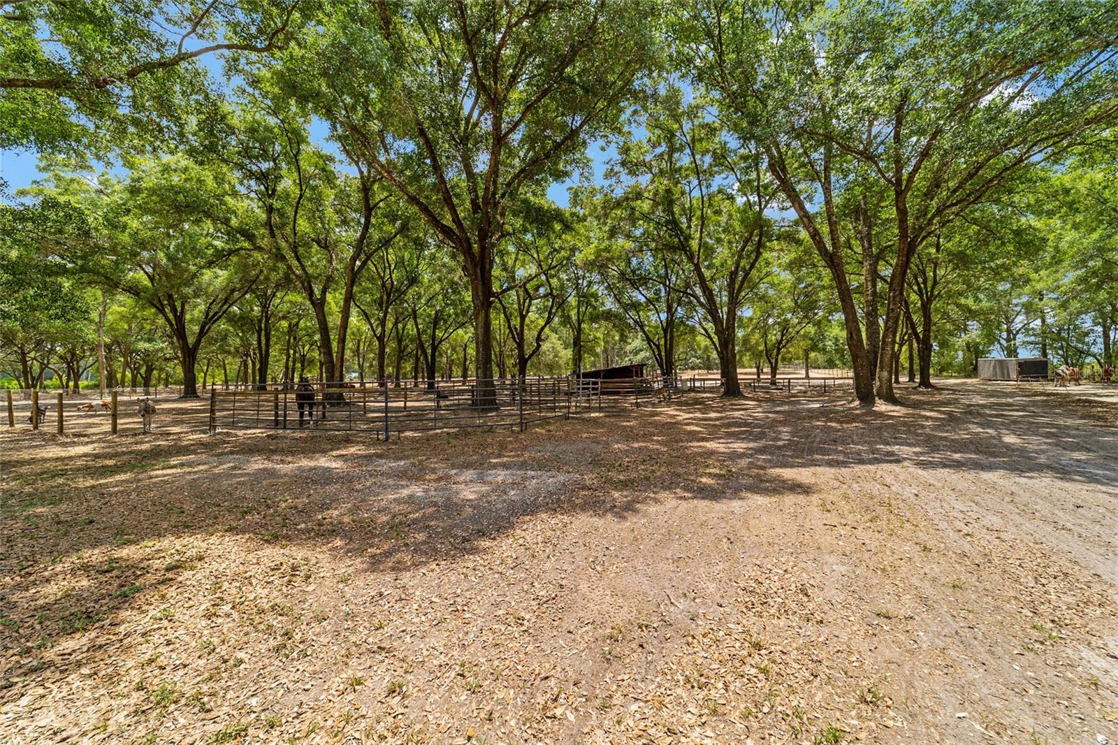 19551 SE 42ND PL, MORRISTON, FL — photo 52