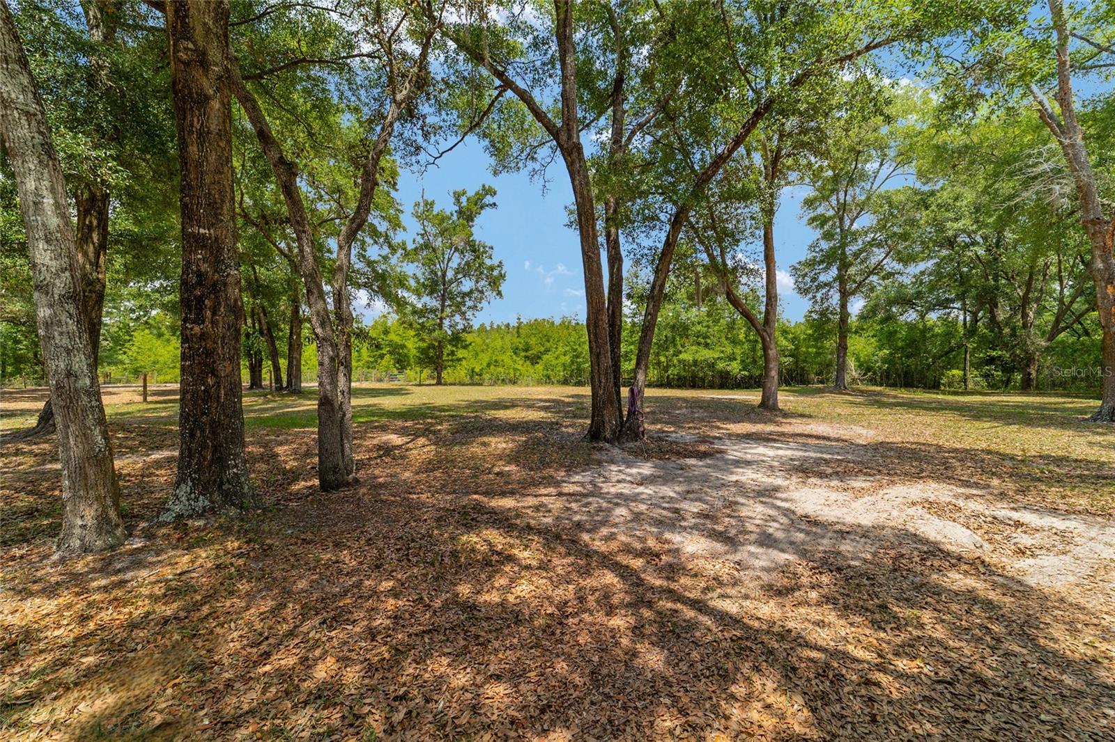 19551 SE 42ND PL, MORRISTON, FL — photo 54