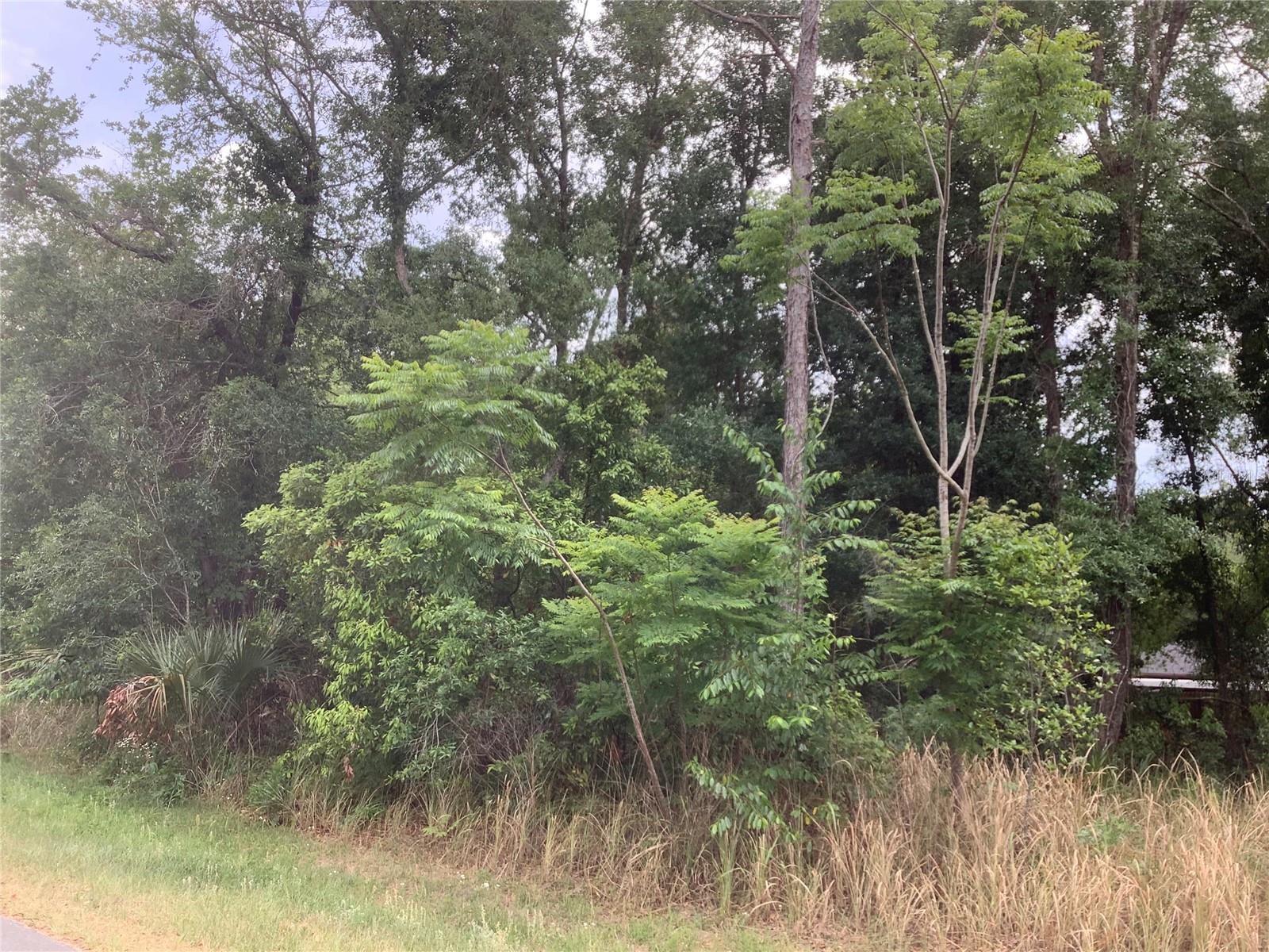 0 BAHIA CIRCLE LN, OCALA, FL — photo 4