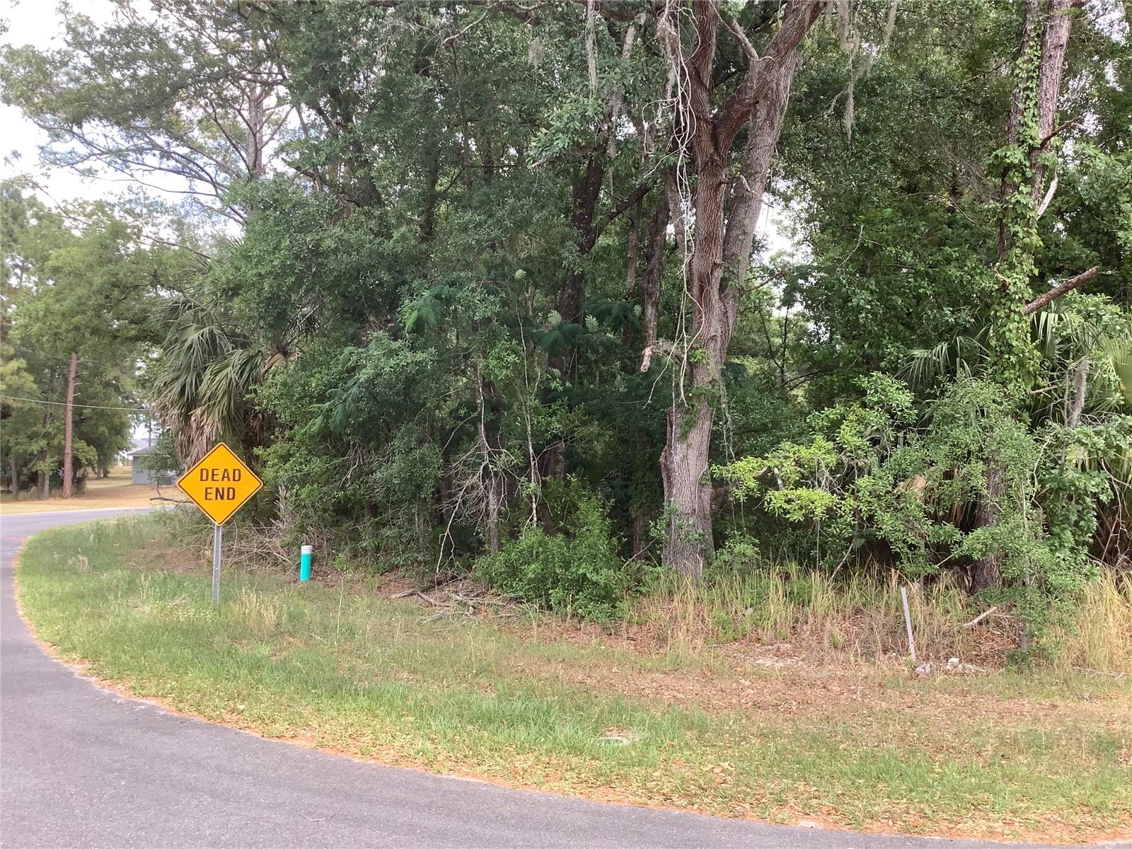 0 BAHIA CIRCLE LN, OCALA, FL — photo 5