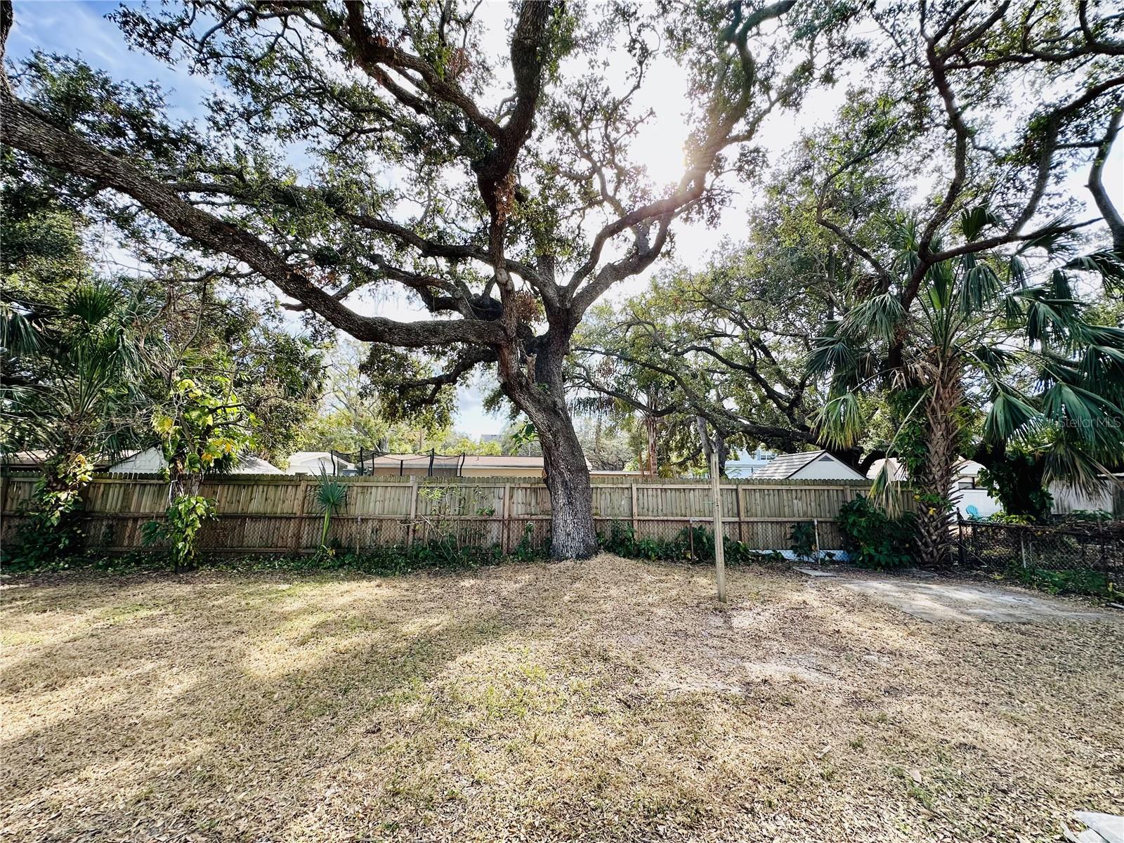 2928 W ELROD AVE, TAMPA, FL — photo 24