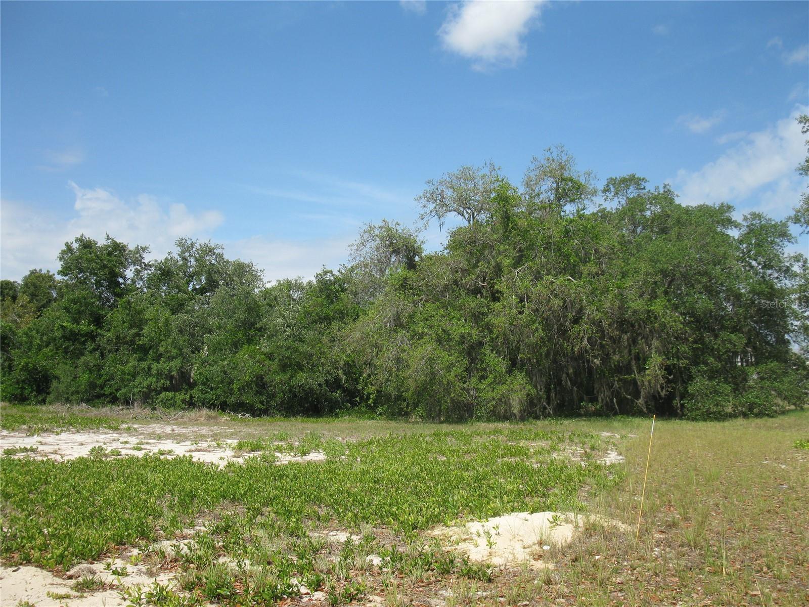 4199 JACARANDA DR, LAKE WALES, FL