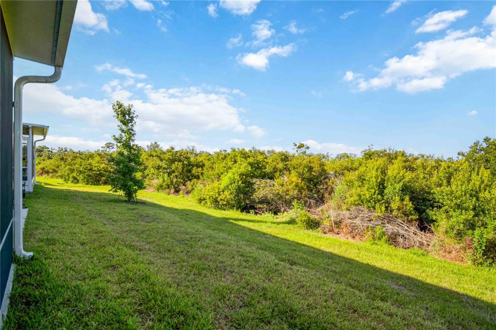 11779 GLENSIDE TER, PALMETTO, FL — photo 55