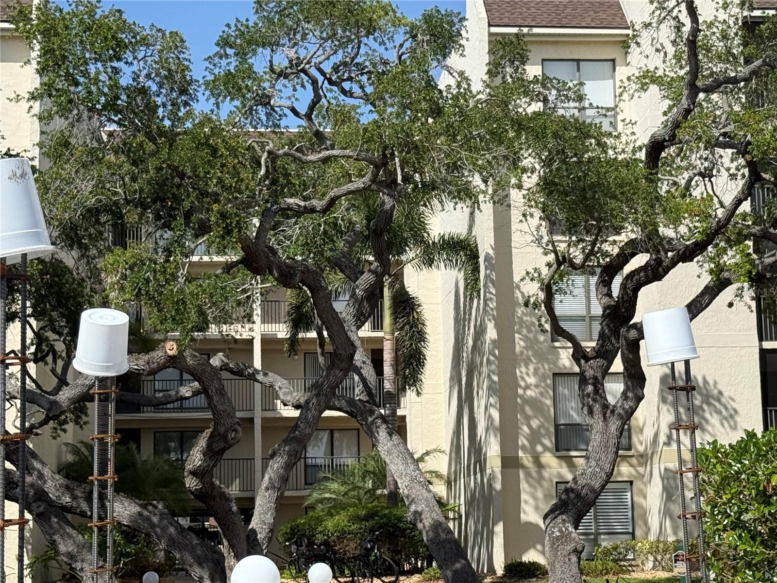 6157 MIDNIGHT PASS RD #F22, SARASOTA, FL — photo 41