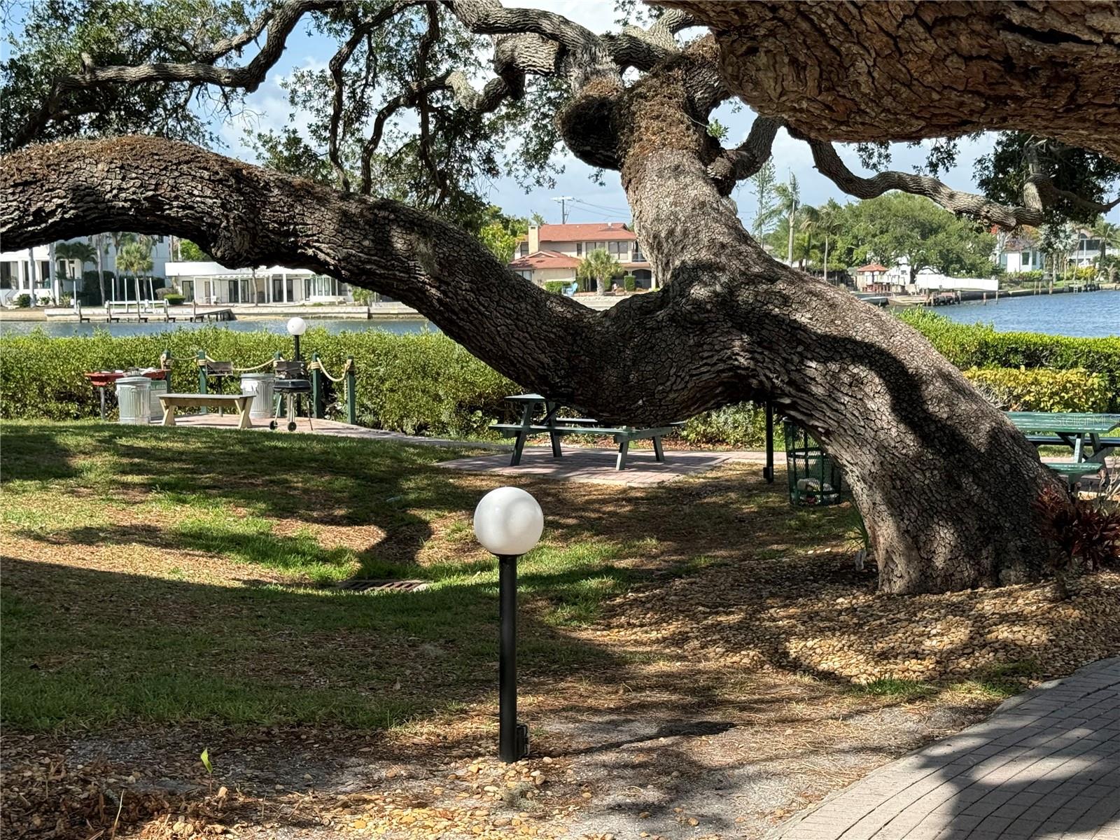 6157 MIDNIGHT PASS RD #F22, SARASOTA, FL — photo 43