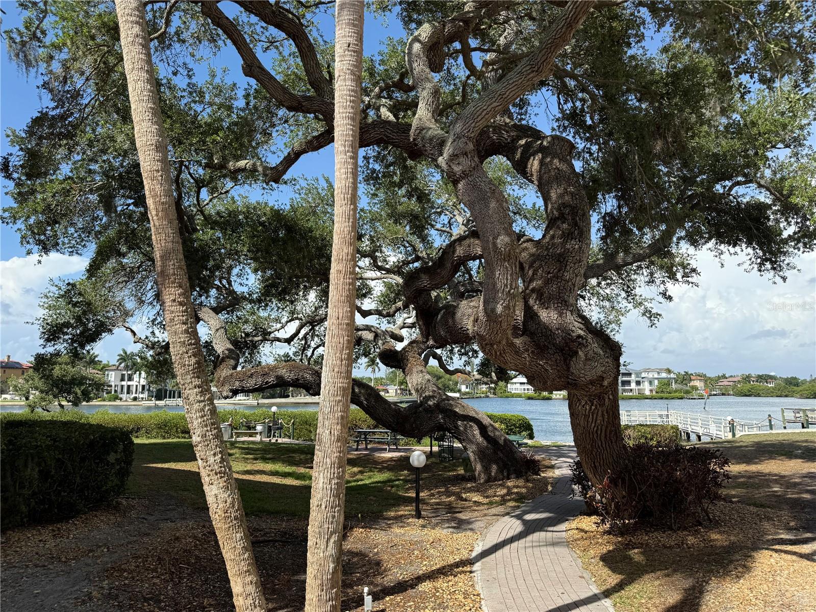 6157 MIDNIGHT PASS RD #F22, SARASOTA, FL — photo 44
