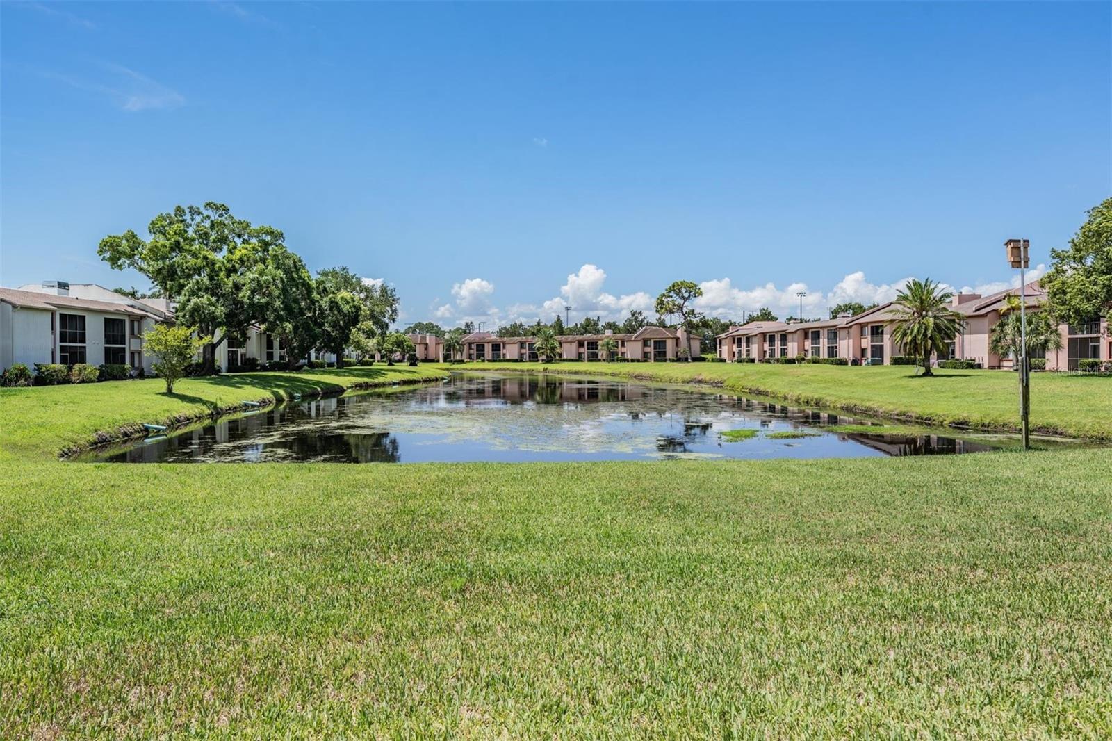 107 LAKEVIEW PL #7, OLDSMAR, FL — photo 11