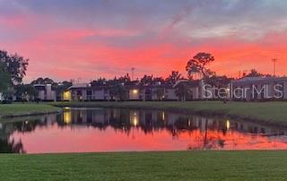 107 LAKEVIEW PL #7, OLDSMAR, FL — photo 30