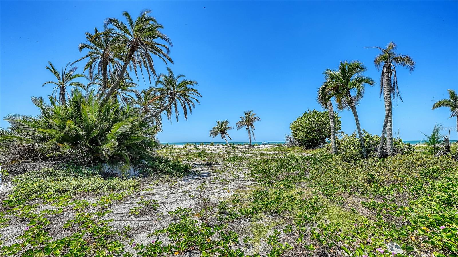 6441 GULFSIDE RD, LONGBOAT KEY, FL — photo 6