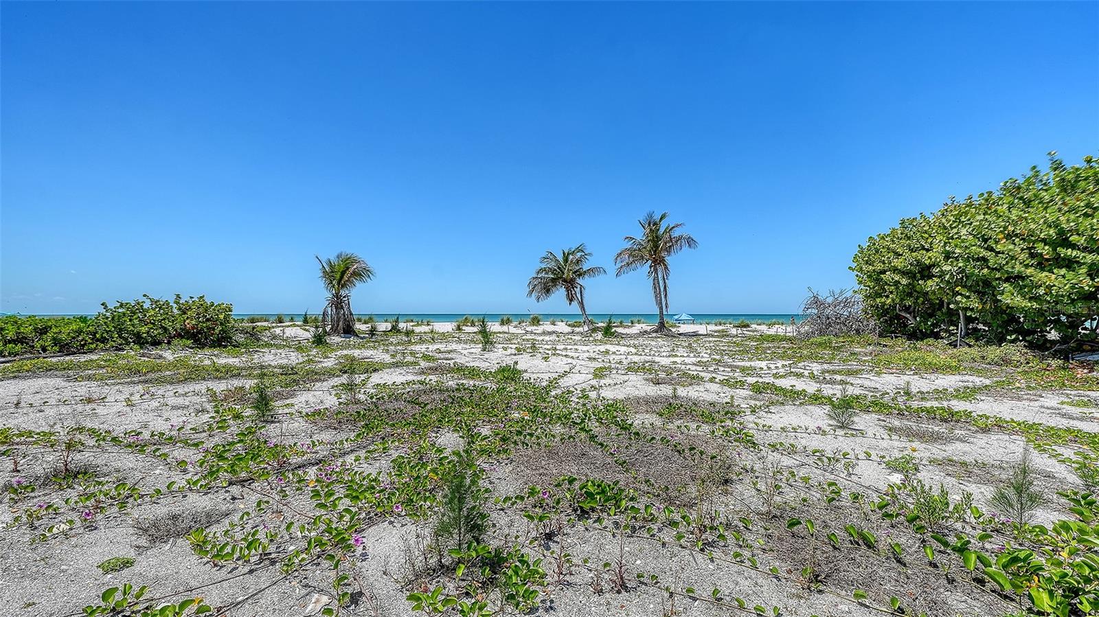 6441 GULFSIDE RD, LONGBOAT KEY, FL — photo 8