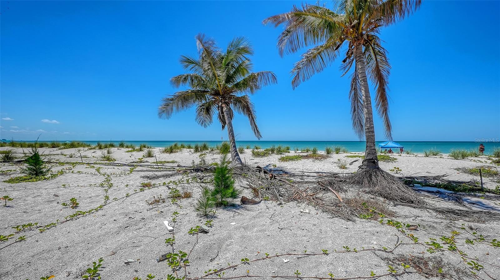 6441 GULFSIDE RD, LONGBOAT KEY, FL — photo 9