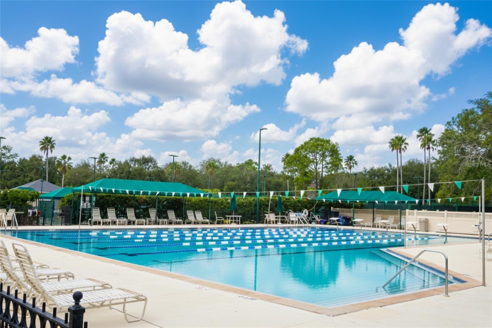 10144 ARBOR RUN DR #112, TAMPA, FL — photo 46
