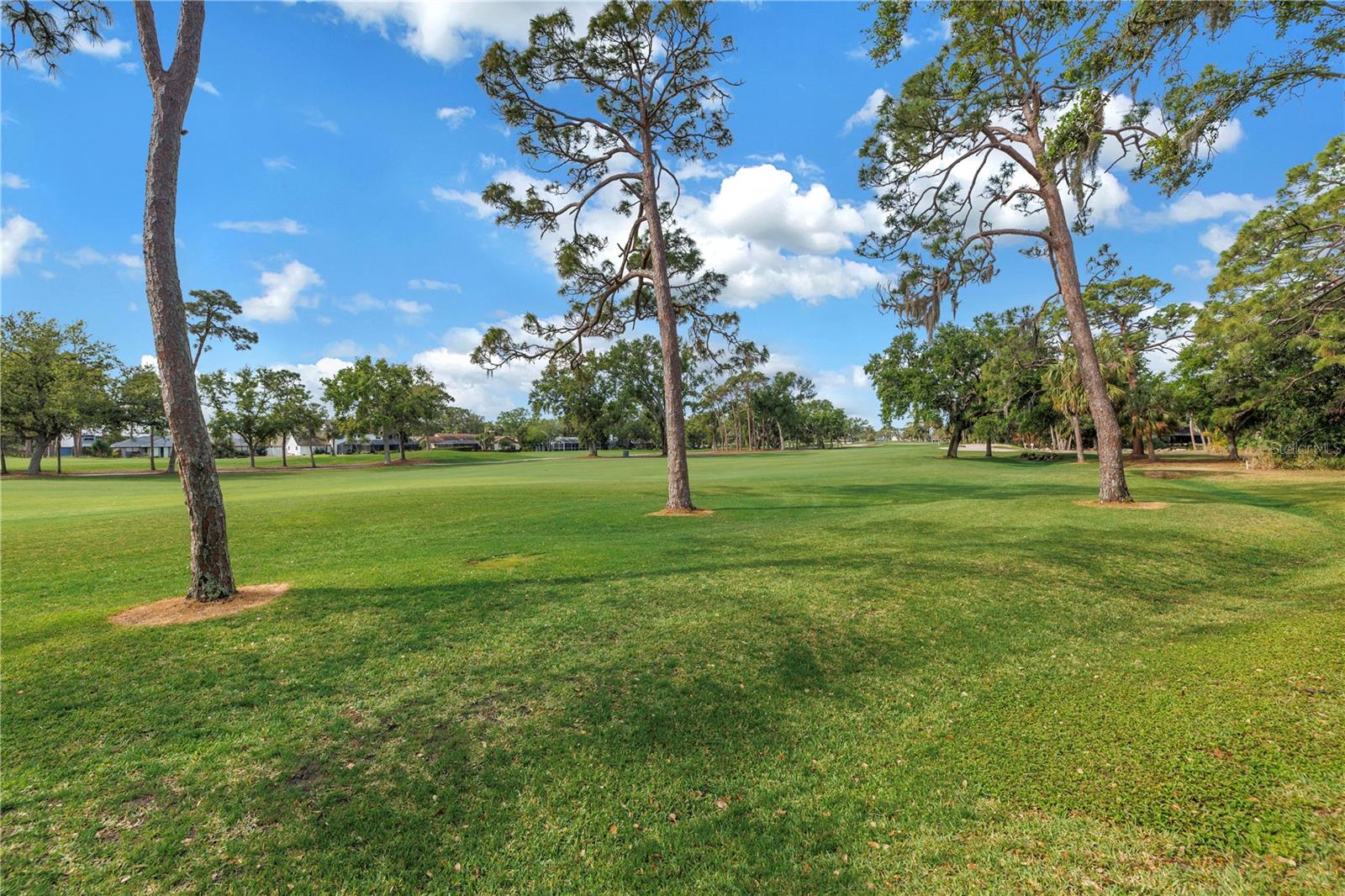 4334 MIRABELLA CIR, BRADENTON, FL — photo 59