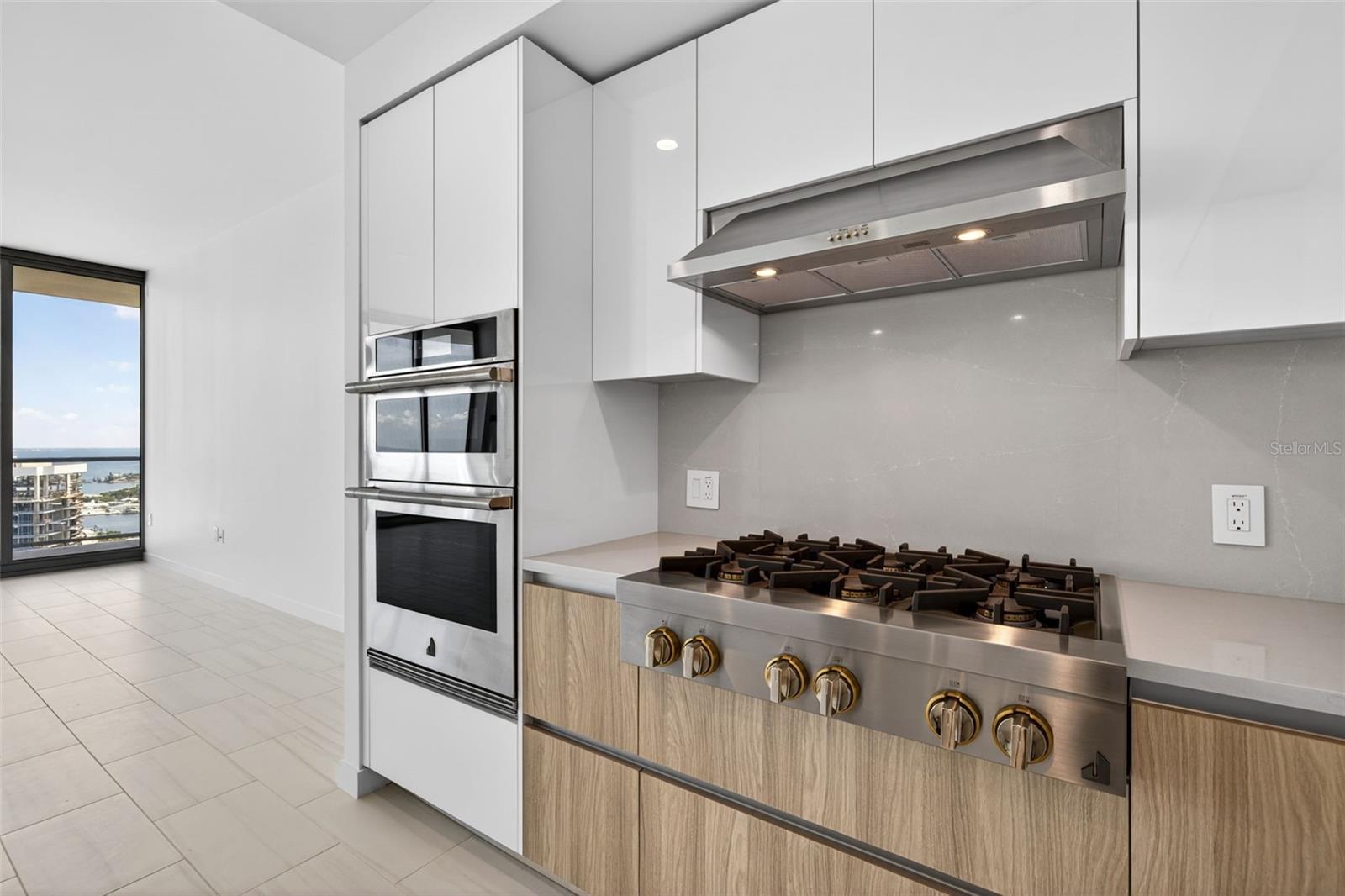 400 CENTRAL AVE #3706, ST PETERSBURG, FL — photo 13