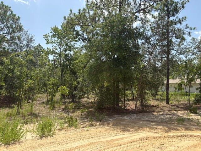 5535 SW 121ST TER, OCALA, FL — photo 10