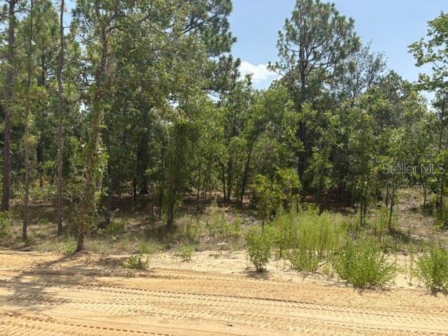 5535 SW 121ST TER, OCALA, FL — photo 13