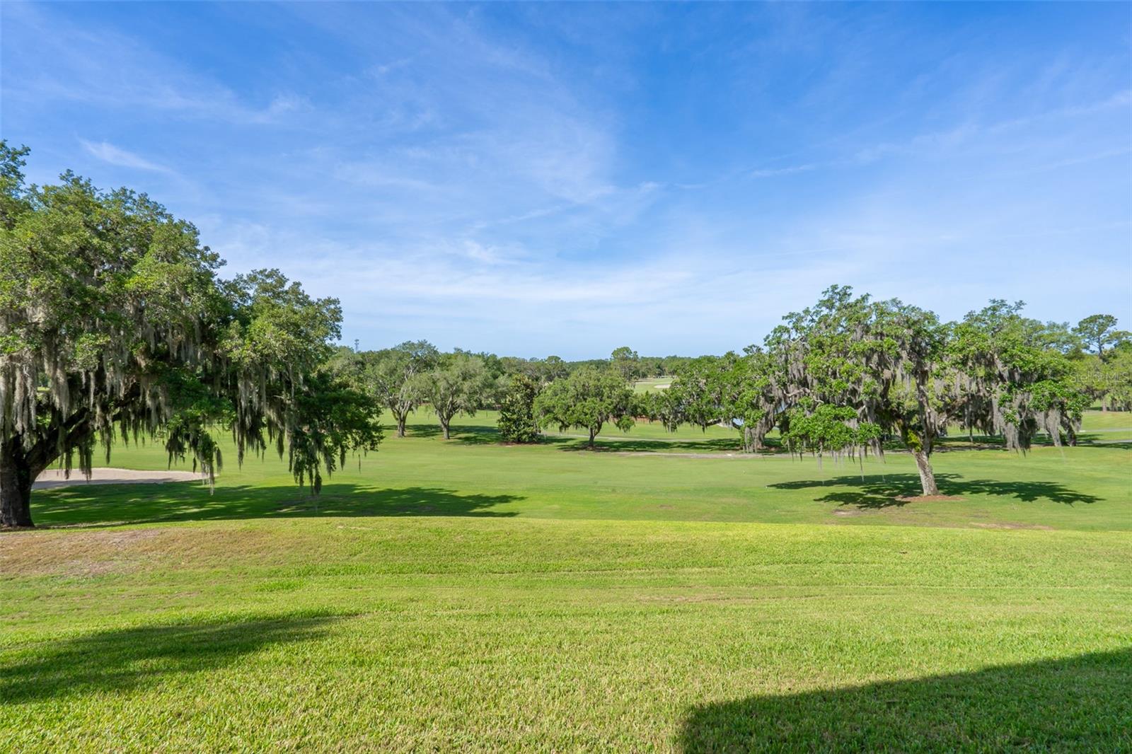 901 CAMINO REAL BLVD #901, HOWEY IN THE HILLS, FL — photo 64