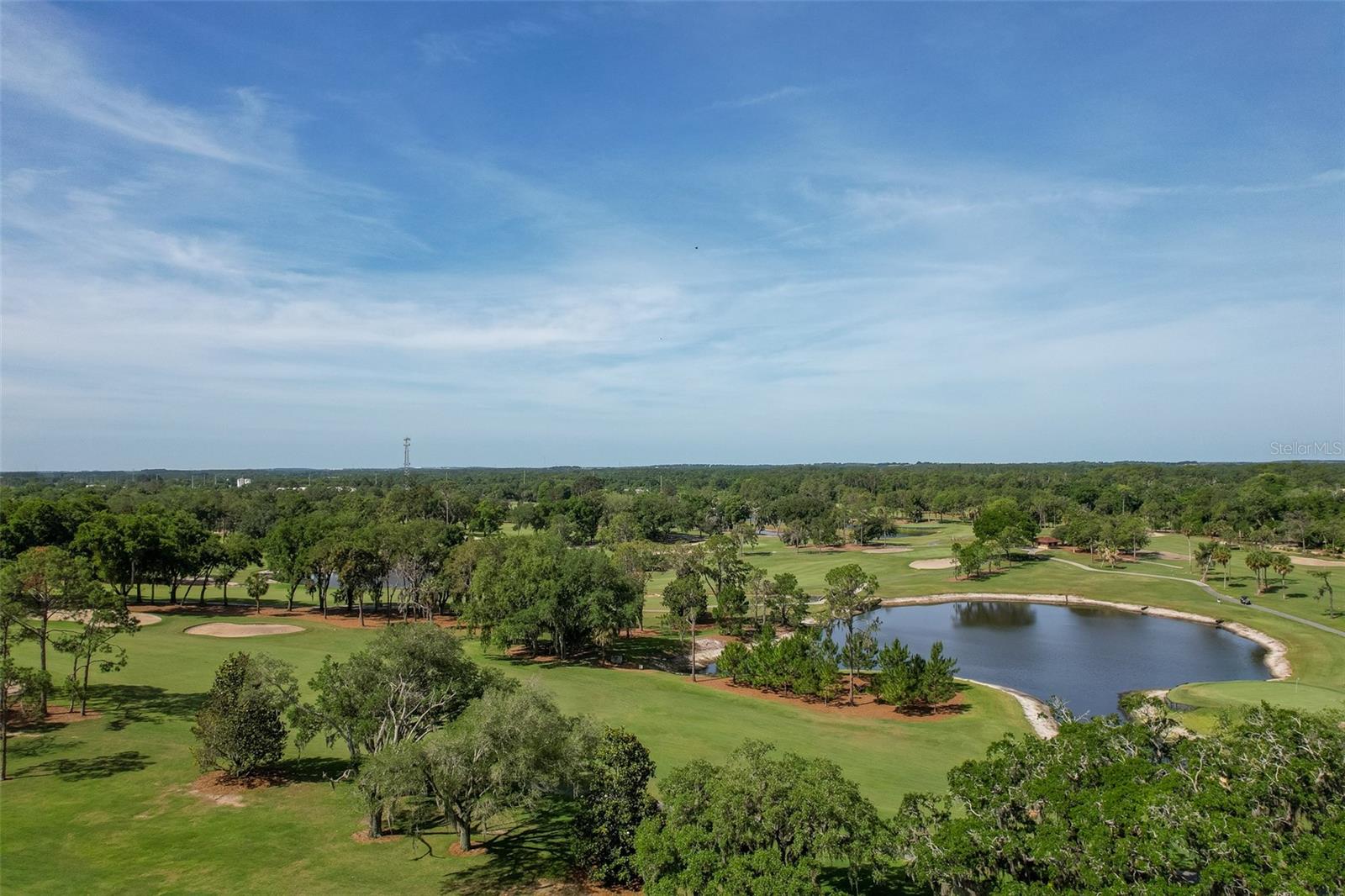 901 CAMINO REAL BLVD #901, HOWEY IN THE HILLS, FL — photo 67