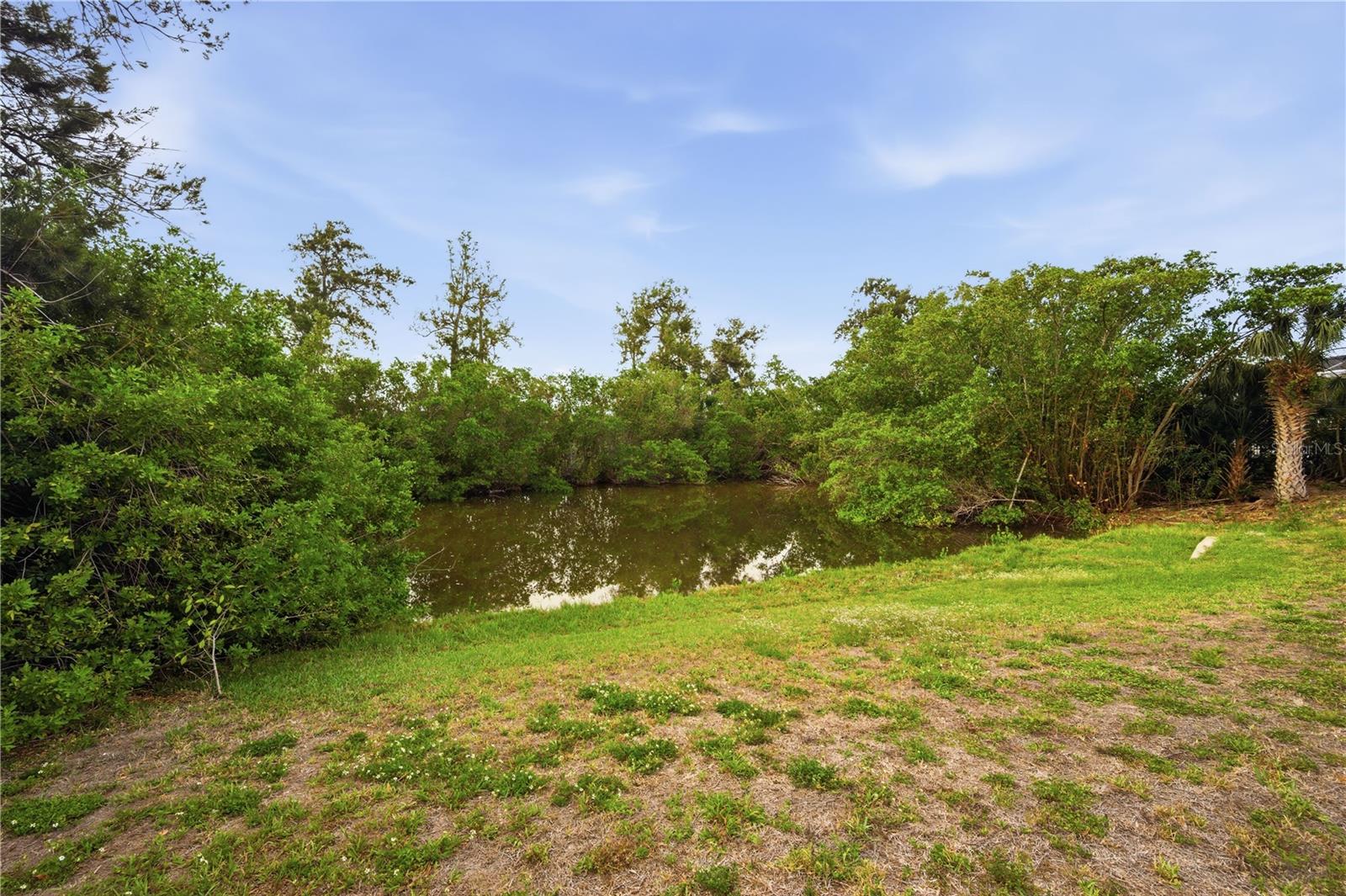 718 BUNKER VIEW DR, APOLLO BEACH, FL — photo 23