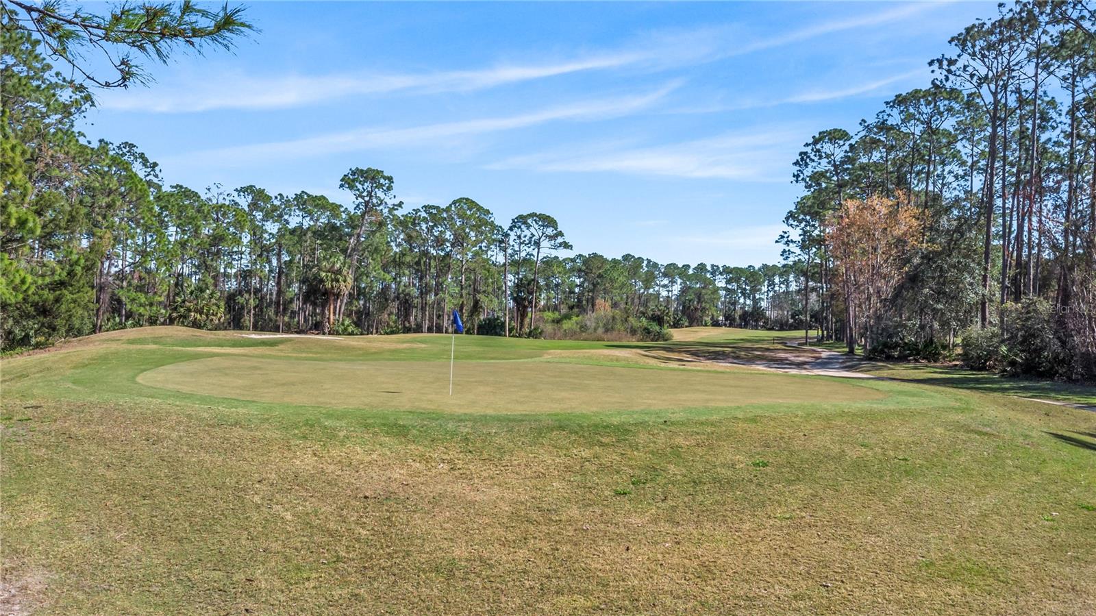 46 EVANS DR, PALM COAST, FL — photo 23