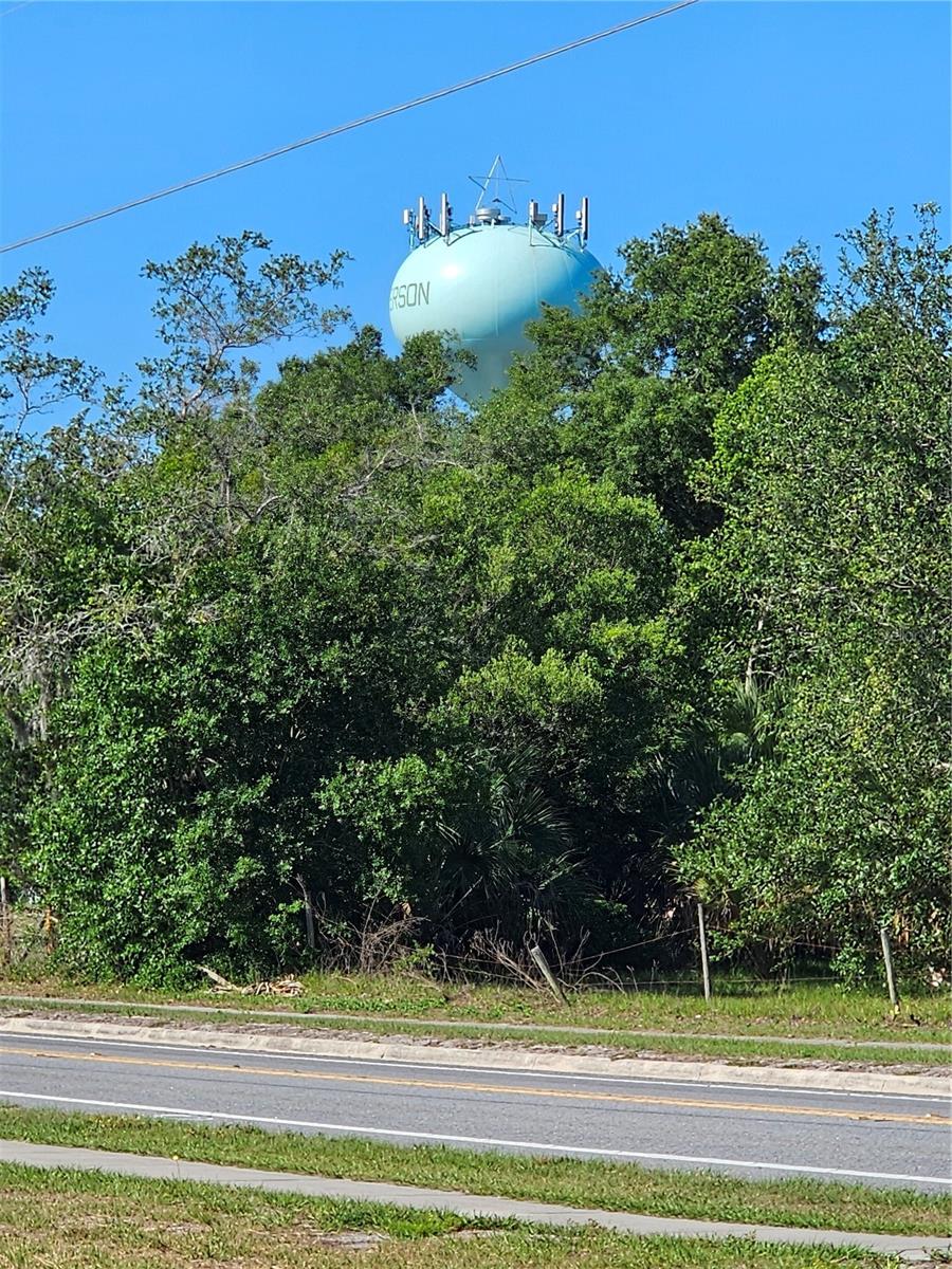 123 W 2ND AVE, PIERSON, FL — photo 7