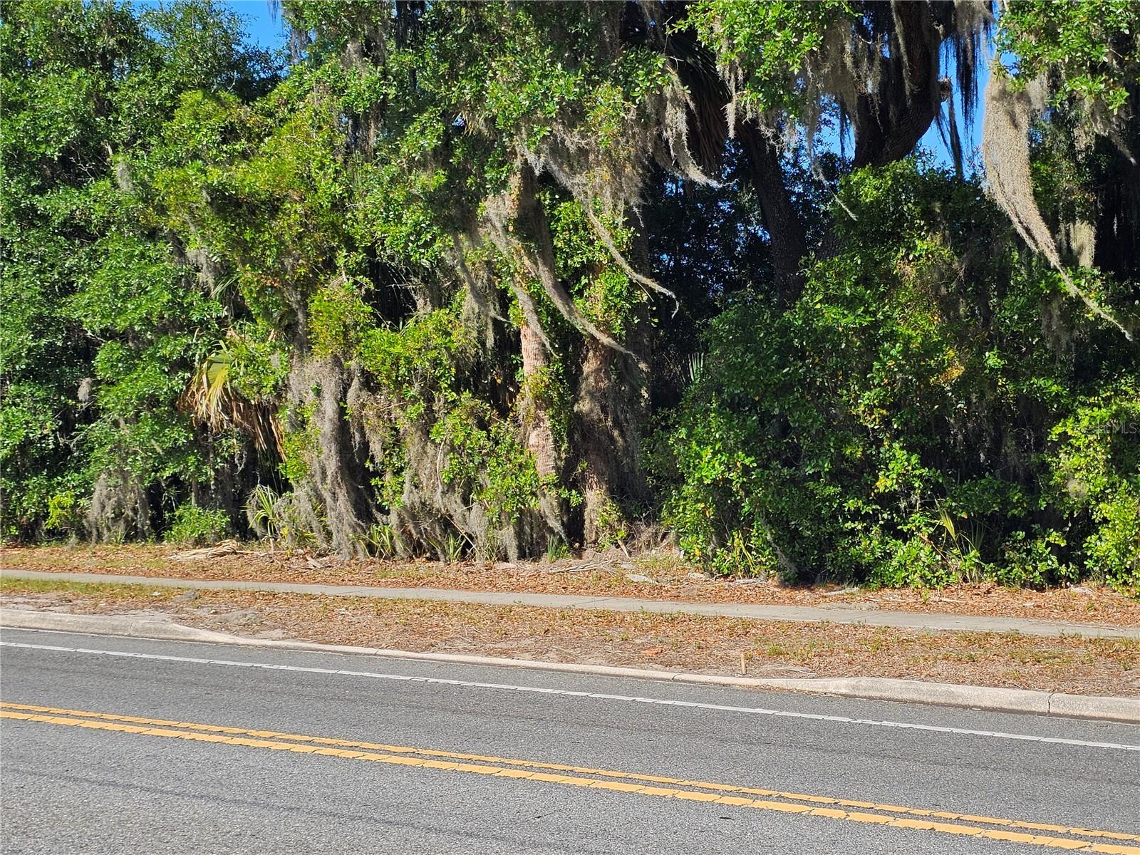 123 W 2ND AVE, PIERSON, FL — photo 8