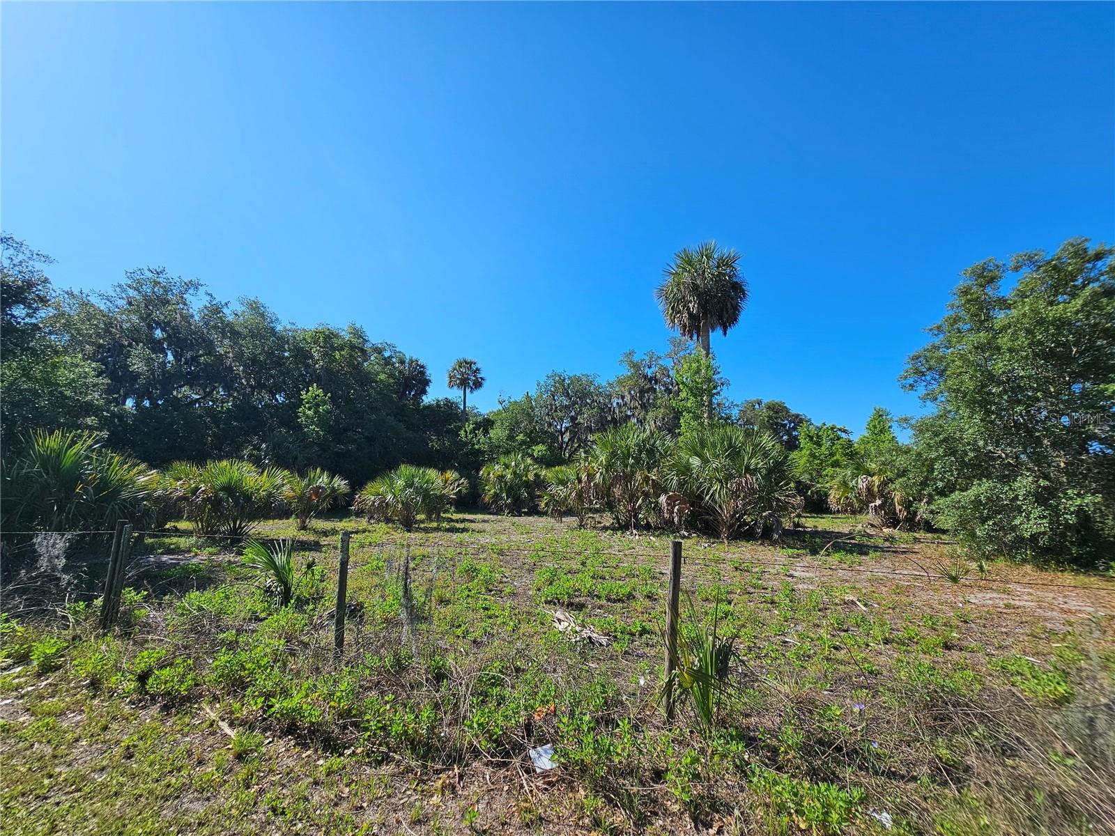 123 W 2ND AVE, PIERSON, FL — photo 13