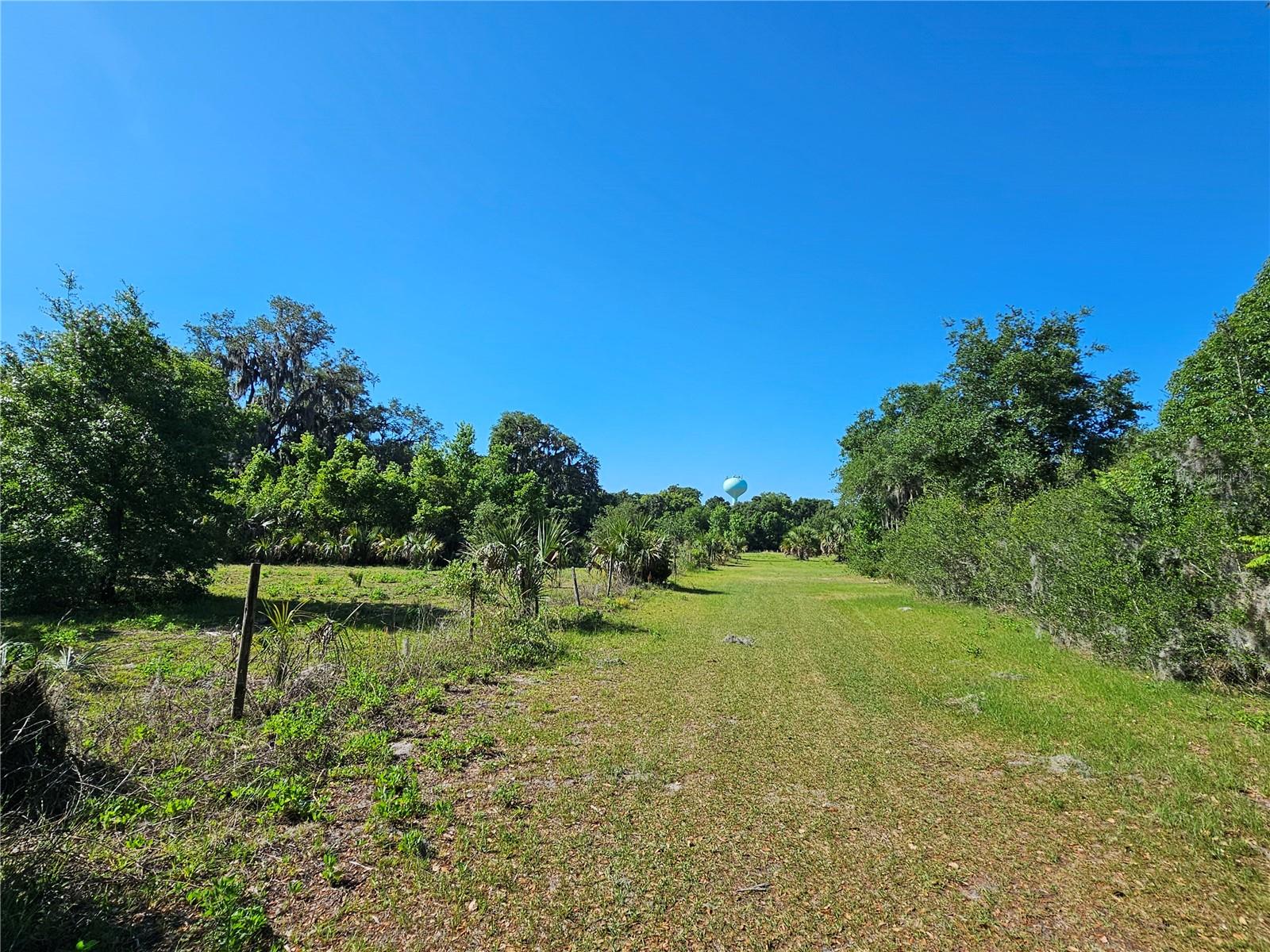 123 W 2ND AVE, PIERSON, FL — photo 14