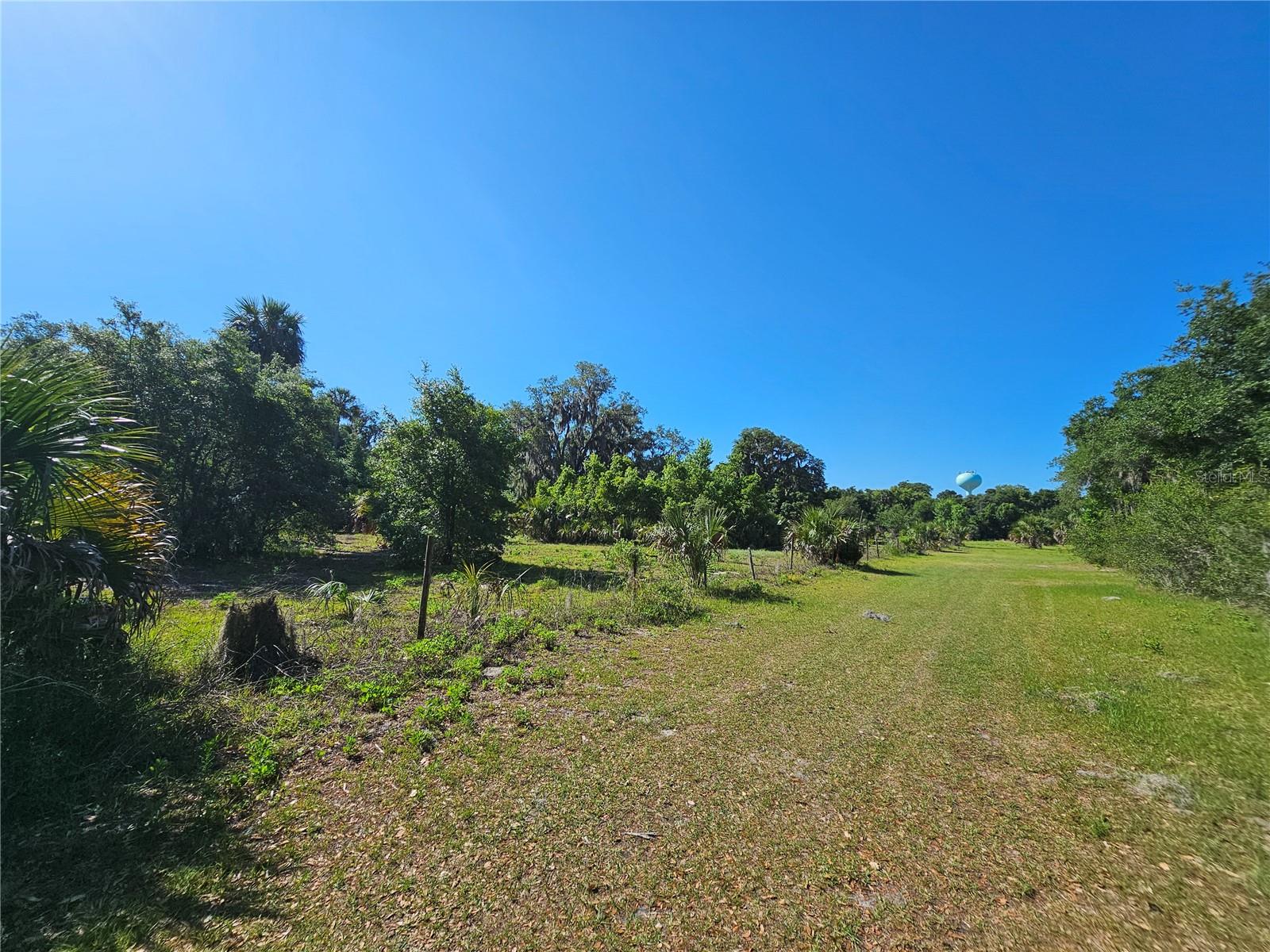 123 W 2ND AVE, PIERSON, FL — photo 15